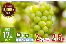 [№4631-1975]食卓応援品　シャインマスカット（ご家庭用）約2kg 家庭用 マスカット 葡萄 ぶどう ブドウ フルーツ 果物 くだもの 果実 旬の果物 旬のフルーツ 香川 香川県 東かがわ市