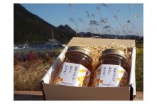 [№4631-2038]木村農園のはちみつ（170g×2本）