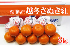 [№4631-2056]越冬完熟さぬき紅みかん 約3kg