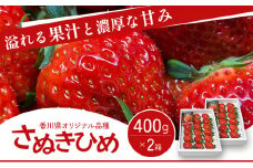 [№4631-2059]香川県オリジナル品種！  いちご【さぬきひめ】 400g化粧箱×2箱