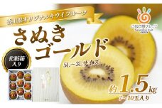 [№4631-2063]さぬき ゴールドキウイ 5L～3Lサイズ 7～10玉 1.5kg 化粧箱 ゴールデンキウイ キウイフルーツ キウイ フルーツ 果物 くだもの 果実 旬の果物 旬のフルーツ 香川 香川県 東かがわ市