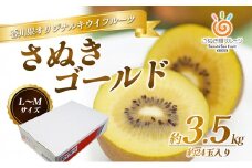 [№4631-2064]さぬき ゴールドキウイ L～Mサイズ 24玉 3.5kg ゴールデンキウイ キウイフルーツ キウイ フルーツ 果物 くだもの 果実 旬の果物 旬のフルーツ 香川 香川県 東かがわ市