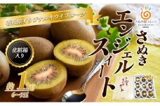 [№4631-2066]さぬき エンジェルスイート 6～9玉 1kg 化粧箱 キウイフルーツ キウイ フルーツ 果物 くだもの 果実 旬の果物 旬のフルーツ 香川 香川県 東かがわ市