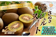 [№4631-2067]さぬき エンジェルスイート 24～28玉 2.2kg キウイフルーツ キウイ フルーツ 果物 くだもの 果実 旬の果物 旬のフルーツ 香川 香川県 東かがわ市