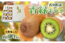 [№4631-2068]香緑 (こうりょく) キウイ 5L～3Lサイズ 8～10玉 1.4kg 化粧箱 キウイフルーツ フルーツ 果物 くだもの 果実 旬の果物 旬のフルーツ 香川 香川県 東かがわ市