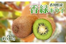 [№4631-2069]香緑 (こうりょく) キウイ 3L～Mサイズ 24～33玉 3kg キウイフルーツ フルーツ 果物 くだもの 果実 旬の果物 旬のフルーツ 香川 香川県 東かがわ市
