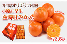 [№4631-2071]みかん 香川県オリジナル品種 小原紅早生みかん 金時紅 L～Sサイズ 21～30個 2.5kg オリジナル 早生みかん 蜜柑 ミカン 柑橘系 柑橘類 フルーツ 果物 くだもの 果実 旬の果物 旬のフルーツ 香川 香川県 東かがわ市