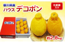 [№4631-2072]ハウスデコポン 2.8kg 化粧箱 香川県産 デコポン でこぽん フルーツ 果物 くだもの 旬のフルーツ 旬の果物 柑橘 柑橘類 ハウス みかん ハウスみかん 香川 香川県 東かがわ市