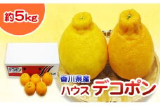 [№4631-2073]ハウスデコポン 小玉 5kg 香川県産 デコポン でこぽん フルーツ 果物 くだもの 旬のフルーツ 旬の果物 柑橘 柑橘類 ハウス みかん ハウスみかん 香川 香川県 東かがわ市