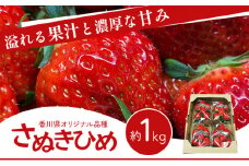 [№4631-2074]いちご 香川県オリジナル品種 さぬきひめ 1kg 香川県産 苺 イチゴ フルーツ 果物 くだもの 旬のフルーツ 旬の果物 大粒 採れたて 冷蔵 香川 香川県 東かがわ市