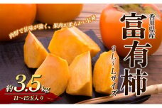 [№4631-2076]富有柿 3.5kg 3L～Lサイズ 11～15玉 香川県産 かき カキ 柿 フルーツ 果物 くだもの 旬のフルーツ 旬の果物 富有 柿 甘柿 香川 香川県 東かがわ市