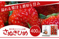 [№4631-2075]いちご 香川県オリジナル品種 さぬきひめ 400g 香川県産 化粧箱 年内受付 苺 イチゴ フルーツ 果物 くだもの 旬のフルーツ 旬の果物 大粒 採れたて 冷蔵 香川 香川県 東かがわ市