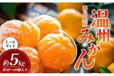 [№4631-2079]温州みかん 5kg (内傷み補充分500g) L～Sサイズ 40～60個 香川県産 みかん ミカン 蜜柑 フルーツ 果物 くだもの 旬のフルーツ 旬の果物 柑橘 柑橘類 香川 香川県 東かがわ市