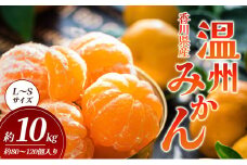 [№4631-2080]温州みかん 10kg (内傷み補充分1kg) L～Sサイズ 80～120個 香川県産 みかん ミカン 蜜柑 フルーツ 果物 くだもの 旬のフルーツ 旬の果物 柑橘 柑橘類 香川 香川県 東かがわ市