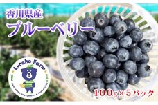 [№4631-2110]Lucaho Farm ブルーベリー（発送2025年6月～）