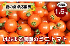 [№4631-2198]カラダに優しい「乳酸菌入り ミニトマト2kg」