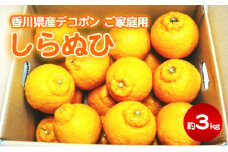 [№4631-2203]ご家庭用しらぬひ 約３kg デコポン
