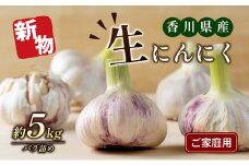[№4631-2206]ご家庭用生にんにく 約5kg
