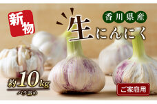 [№4631-2207]ご家庭用生にんにく 約10kg