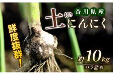 [№4631-2210]鮮度抜群！土付きにんにく 約10kg