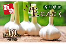 [№4631-2208]生にんにく（新物）約10kg