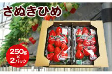 [№4631-2244]いちご さぬきひめ DXパック 500g (250g×2パック) 香川県産 苺 イチゴ フルーツ 果物 くだもの 旬のフルーツ 旬の果物 大粒 香川 香川県 東かがわ市