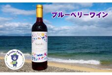 [№4631-2356]海のキレイな街で育ったブルーベリーワイン
