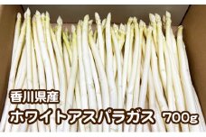 [№4631-2379]ご家庭用ホワイトアスパラガス　約700g