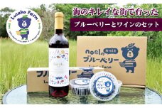 [№4631-2386]海のキレイな街で育ったブルーベリーとワインのセット