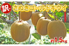 [№4631-2440]訳あり さぬきゴールド 1.5kg 香川県産 キウイ キウイフルーツ ゴールドキウイ ゴールデンキウイ フルーツ 果物 くだもの 旬のフルーツ 旬の果物 香川 香川県 東かがわ市