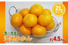 [№4631-2463]温州みかん 2Lサイズ 4.5kg 香川県産 みかん ミカン 蜜柑 フルーツ 果物 くだもの 旬のフルーツ 旬の果物 柑橘 柑橘類 大玉 香川 香川県 東かがわ市