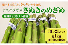 [№4631-1674]アスパラガス【さぬきのめざめ】3L・2Lサイズ1kg