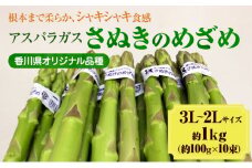 [№4631-1674]アスパラガス【さぬきのめざめ】3L・2Lサイズ1kg