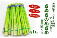 [№4631-1694]アスパラガス【さぬきのめざめ】Mサイズ1kg