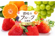 [№4631-2481]フルーツ 定期便 3ヶ月 果物 旬のフルーツ 旬の果物 香川県産 さぬきひめ シャインマスカット 温州みかん いちご ぶどう マスカット みかん 3回 お楽しみ 香川 香川県 東かがわ市