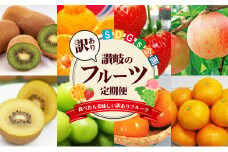 [№4631-2482]訳あり フルーツ 定期便 8ヶ月 SDGs企画 果物 旬のフルーツ 旬の果物 香川県産 キウイフルーツ しらぬい さぬきひめ ピオーネ シャインマスカット でこぽん 苺 ぶどう マスカット 富有柿 温州みかん 8回 お楽しみ 香川 香川県 東かがわ市