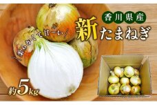 [№4631-1146]新たまねぎ　約5kg
