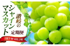 [№4631-2489]讃岐のシャインマスカット3ヶ月定期便