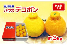 [№4631-1551]貯蔵デコポン　約3kg化粧箱入り