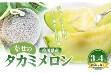 [№4631-2499]幸せの「タカミメロン」3玉～4玉（約2kg以上）