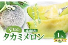 [№4631-2498]幸せの「タカミメロン」1玉（大玉）