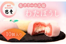 [№4631-2513]巴堂のわたぼうし（大福　10個）