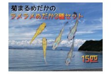[№4631-2524]菊まるめだかの【ラメラメめだか３種セット】計15匹