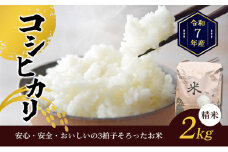 [№4631-2558]令和7年産香川県産コシヒカリ2kg（精米） お米 