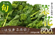 [№4631-2564]冬から春が旬の「菜花(菜の花)」600g