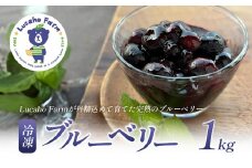 [№4631-2578]ブルーベリー Lucaho Farm 1kg 香川県産 冷凍ブルーベリー1kg 冷凍ブルーベリー フルーツ 果物 くだもの 旬のフルーツ 旬の果物 冷凍 香川 香川県 東かがわ市