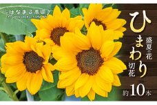 [№4631-2589]盛夏の花「ひまわり」切り花　10本