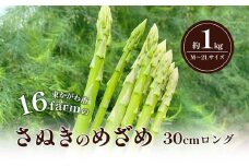 [№4631-2613]16farmのアスパラ「さぬきのめざめ30cmロング」M～2Lサイズ1kg アスパラガス さぬきのめざめ ロングアスパラ 野菜 やさい 新鮮 東かがわ