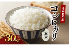 [№4631-2617]令和7年新米 國方さんの「コシヒカリ」30kg（玄米） 米 玄米 コシヒカリ 新米 