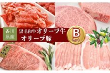[№4631-2628]香川県産黒毛和牛オリーブ牛・香川県産オリーブ豚セット B　ロース ヘレ ヒレ 切り落とし スライス 牛肉 豚肉